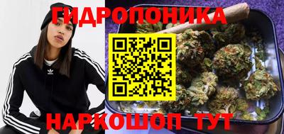 спиды Будённовск