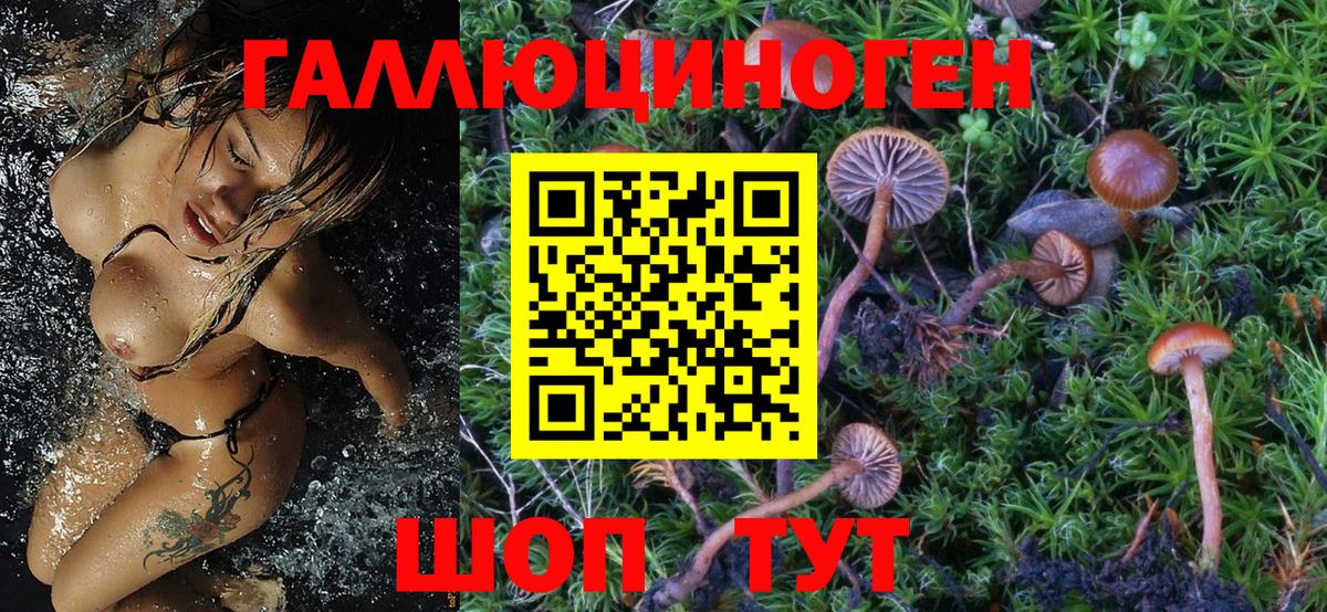 Тимашёвск  Галлюциногенные грибы Magic Shrooms  Псилоцибиновые грибы мухоморы  Вход с VPN 
